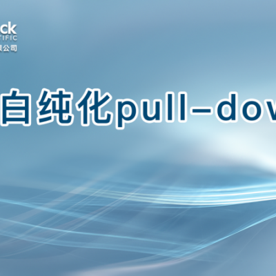 蛋白纯化pull-down