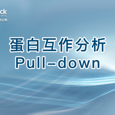 蛋白互作分析Pull-down