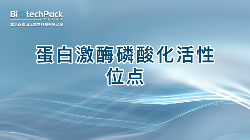 蛋白激酶磷酸化活性位点图1
