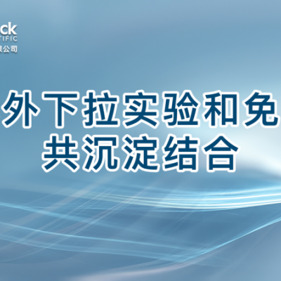 体外下拉实验和免疫共沉淀结合