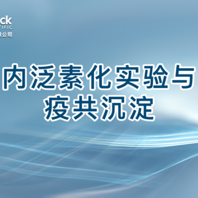 体内泛素化实验与免疫共沉淀