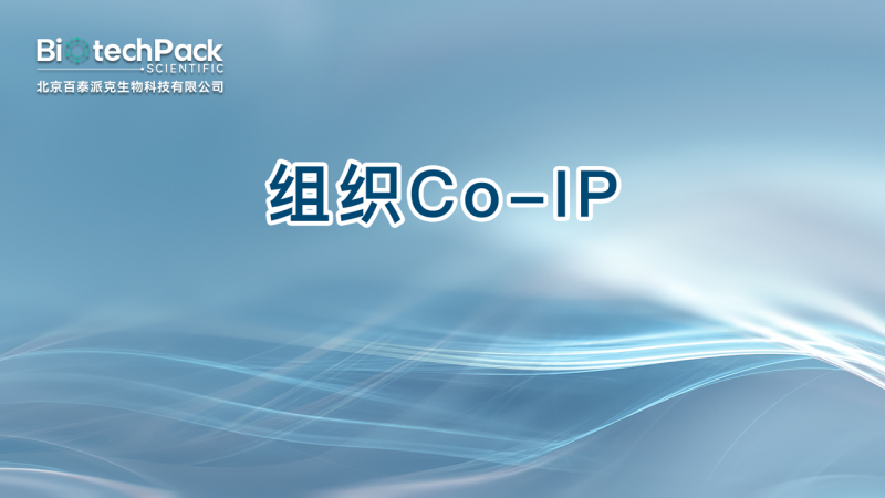 组织Co-IP图1