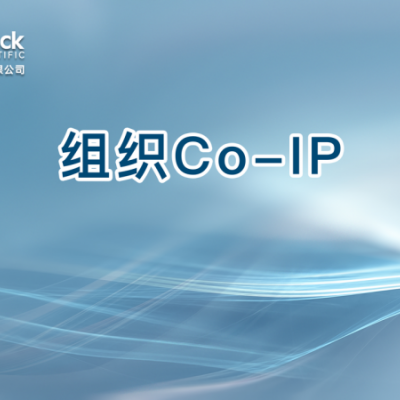 组织Co-IP