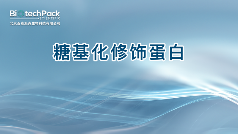 糖基化修饰蛋白图1