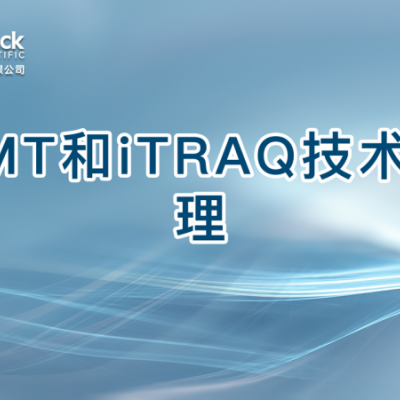 TMT和iTRAQ技术原理