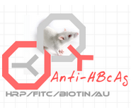 HRP-小鼠抗乙肝核心抗原图1