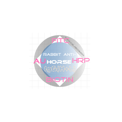 HRP-兔抗马IgG(H+L)