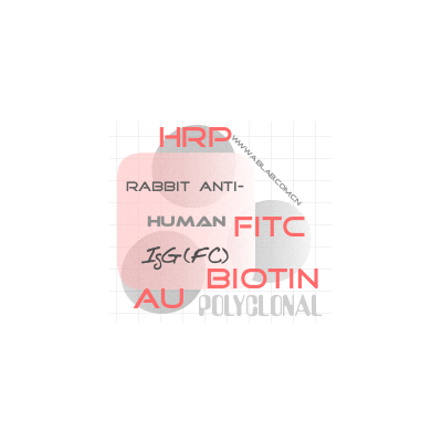 HRP-兔抗人IgG(Fc特异性)