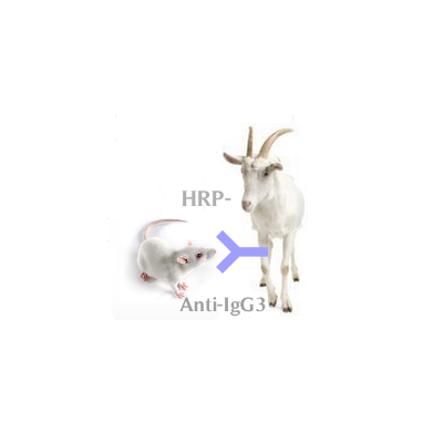 HRP-山羊抗小鼠IgG3