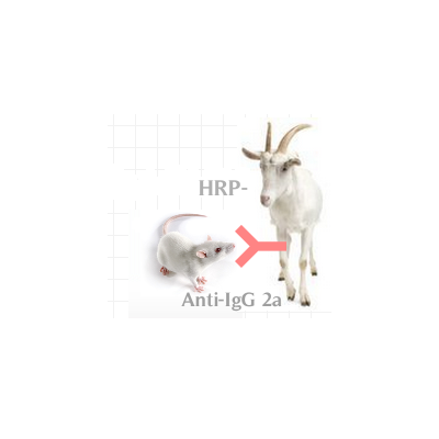 HRP-山羊抗小鼠IgG2a