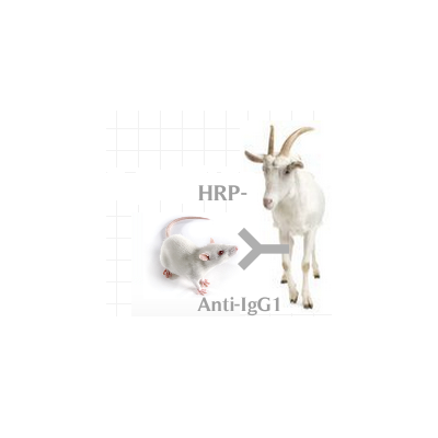 HRP-山羊抗小鼠IgG1