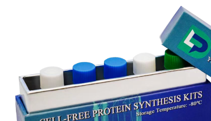 PLD无细胞蛋白表达试剂盒图1