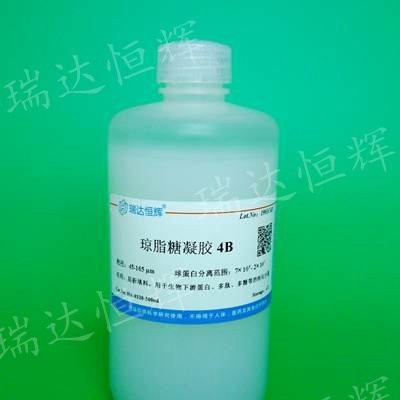 琼脂糖凝胶4B