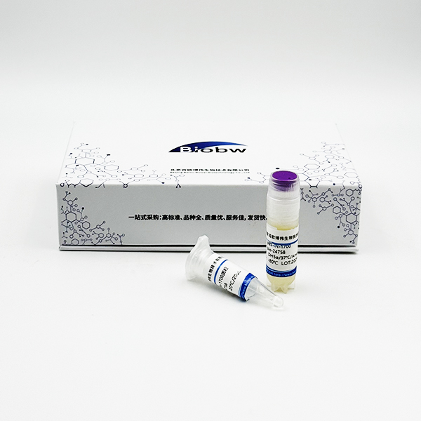 ATCC 25411 门多萨假单胞菌 百欧博伟生物