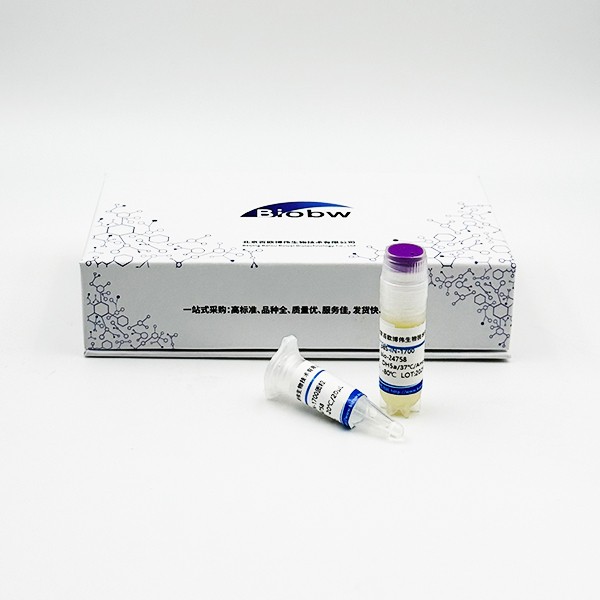 JCM14085 托木尔假单胞菌 百欧博伟生物