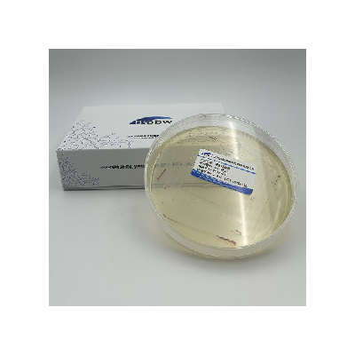 解淀粉芽孢杆菌植物亚种 百欧博伟生物 微生物菌种