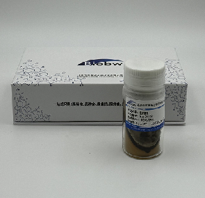 棕灰口蘑 百欧博伟生物 微生物菌种查询网