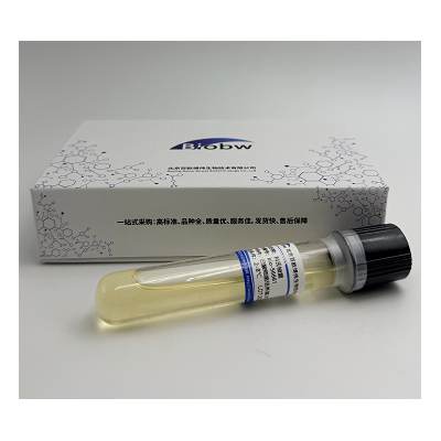 微生物菌种查询网 土库曼盐土生古菌 百欧博伟生物