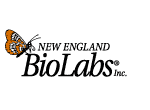 New England Biolabs