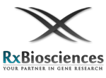 Rx Biosciences